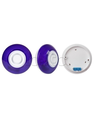 Оповещатель комбинированный SLT Марс 12-КП (строб, син) в Мытищах Оповещатели Pintop.ru